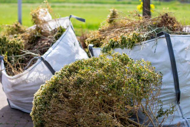 Junk Removal for Events in Napoleon, OH